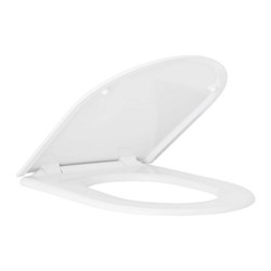 Essence Ceramic Сиденье для унитаза (с микролифтом), альпин-белый (замена арт. 39577000) 39577001 - фото 50868