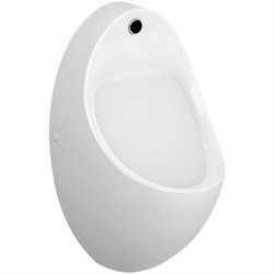 Писсуар Arkitekt с сенсорным смывом, питание от сети (новый арт.5999B003-5556) 4106B003-5598 - фото 51022