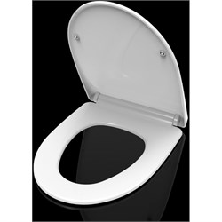 крышка-сиденье для унитаза AQ2009, белая AQ0209-00 - фото 53478