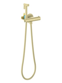 ОБЕРОН комплект для гигиенического душа термостатический встроенный (смеситель + гигиеническая лейка + шланг), шлиф. золото AQ1027BG