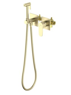 ОБЕРОН комплект для гигиенического душа встроенный 2 отв. (смеситель + гигиеническая лейка + шланг), шлиф. золото AQ1220BG