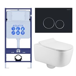 (рама AQUATEK Standard INS-0000012+ кркпеж KKI-0000002+клавиша KDI-0000020+унитаз ЛУГАНО AQ2002-00 с тонким сиденьем soft-c SET AQUATEK ЛУГАНО-020 4в1 - фото 60974