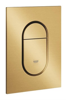 Arena Cosmopolitan Панель смыва для унитаза, размер S, холодный рассвет матовый 37624GN0 - фото 64507