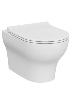 Подвесной безободковый SmoothFlush унитаз "Zentrum Round" (НУЖНА КРЫШКА 801-003-019) 7786B003-0075 - фото 64736