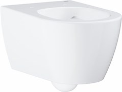 Essence Ceramic Унитаз подвесной, альпин-белый (12 шт пал - 119464) 3957100H