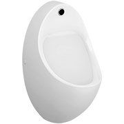 Писсуар Arkitekt с сенсорным смывом, питание от сети (новый арт.5999B003-5556) 4106B003-5598