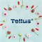 Tellus жидкое мыло в канистре 409844