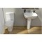 Комплект: унитаз Zentrum Open-back + сиденье с микролифтом, 60 см (арматура Siamp (Франция). 9012B003-7204 - фото 52826 Комплект: унитаз Zentrum Open-back + сиденье с микролифтом, 60 см (арматура Siamp (Франция). 9012B003-7204 - фото 52826