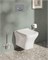 Подвесной безободковый SmoothFlush унитазZentrum Square (НУЖНА КРЫШКА 191-003-009) 7484B003-0075 - фото 71259 Подвесной безободковый SmoothFlush унитазZentrum Square (НУЖНА КРЫШКА 191-003-009) 7484B003-0075 - фото 71259