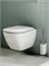 LUA  Сиденье с крышкой тонкое, soft-close 8.9108.3.000.000.1 - фото 72657 LUA  Сиденье с крышкой тонкое, soft-close 8.9108.3.000.000.1 - фото 72657