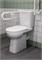 ACCESS чаша унитаза напольная, 48 см. (ПРОДАЖА ТОЛЬКО С БАЧКОМ) ZRU9307684 - фото 73098 ACCESS чаша унитаза напольная, 48 см. (ПРОДАЖА ТОЛЬКО С БАЧКОМ) ZRU9307684 - фото 73098