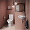 Friendly унитаз напольный, с тонким сиденьем с микролифтом, Serel 6716SL - фото 79783 Friendly унитаз напольный, с тонким сиденьем с микролифтом, Serel 6716SL - фото 79783